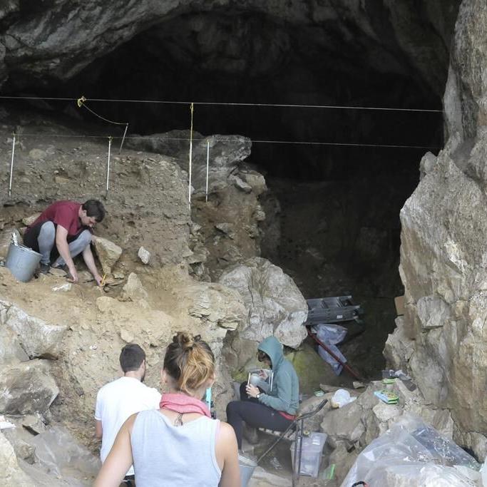 Ancient DNA gives rare snapshot of Neanderthal family ties